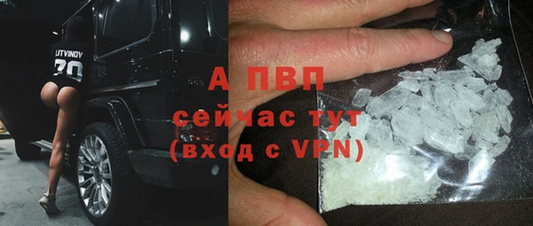 СК Аркадак