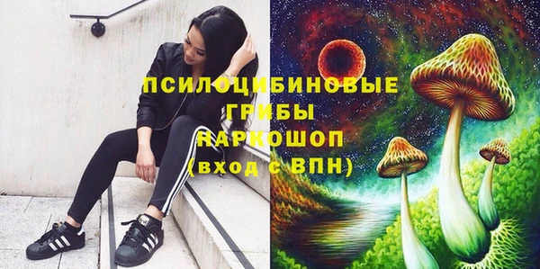 трава Армянск