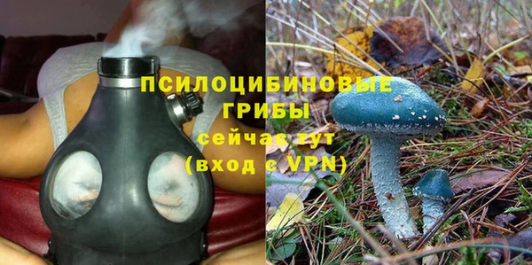 трава Армянск